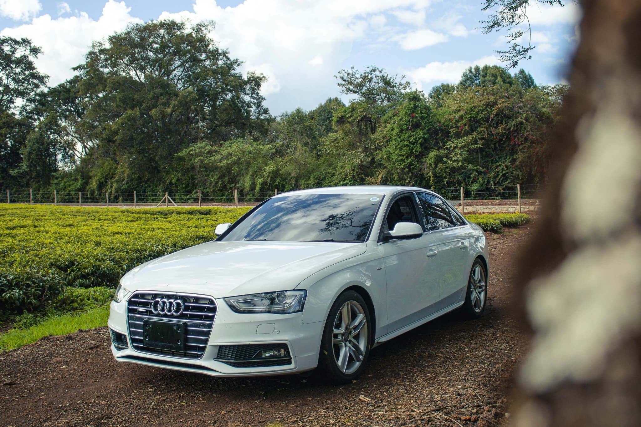 Audi A6 Matrix Luxury